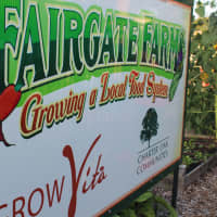<p>Fairgate Farm is committed to organic farming practices. </p>