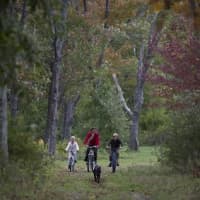 <p>Residents will find a wealth of recreation options at Silo Ridge Field Club.</p>