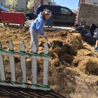 <p>Students from Horace Greeley High School in Chappaqua help out in Yonkers. </p>