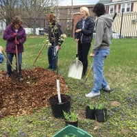 <p>Students and staff begin digging for the  plantings at WCSU&#x27;s permaculture garden.</p>