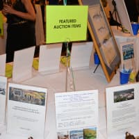 <p>Several prizes were offered at the Chappaqua School Foundation&#x27;s annual spring benefit.</p>