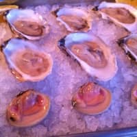 <p>Oysters at North East Oyster Company in Mamaroneck.</p>