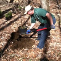 <p>David Medd, of Aquarion Water Co., planting at the Urban Oasis at Mianus River Park on Wednesday. Company employees volunteered as part of an effort to create an area for birds and to prevent riverbank erosion.</p>