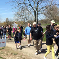 <p>Hundreds of people walked the half-mile route up the beach at Sherwood Island State Park.</p>