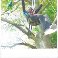 <p>The Connecticut Tree Festival includes the junior arborist tree-climb. </p>