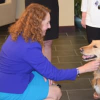 <p>U.S. Rep. Elizabeth Esty with Regional Hospice and Home Care of Western Connecticuts comfort dog, Addi.</p>