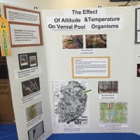 <p>A science project featured at the fair. </p>