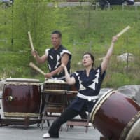 <p>A drum performance at the Sakura Matsuri Cherry Blossom Festival.</p>