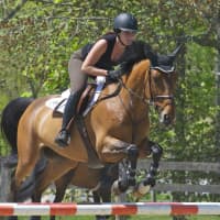 <p>The Spring Horse Show returned to Old Salem Farm last week, and shows run through the fall.</p>