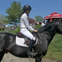 <p>A rider waits for her turn on the course.</p>