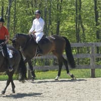 <p>Riders have a choice of several riding areas at Old Salem Farm.</p>
