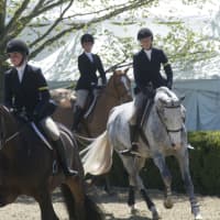 <p>Riders enjoyed perfect weather at Sunday&#x27;s horse show. </p>