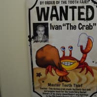 <p>Tooth fairy or Ivan the Crab? Who has your tooth? </p>