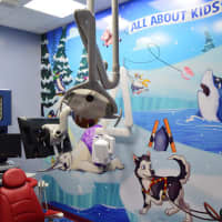 <p>This exam room is decorated with an arctic theme. Check out the shark with the missing teeth. </p>