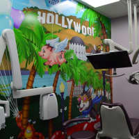 <p>You&#x27;ll enjoy the dentist when pigs fly? Check out this exam room. </p>