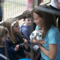 <p>Ambler Farm&#x27;s Jennifer Grass shows children the rabbits at the Wilton site. </p>