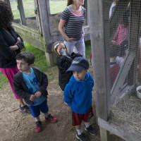 <p>Taking a tour of the rabbit cages at Ambler Farm.</p>