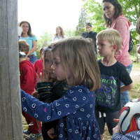 <p>Kids check out the rabbits at the farm. </p>