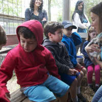 <p>Jennifer Grass lets the children gently pet rabbits.</p>