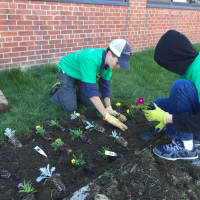 <p>United Way of Western Connecticut&#x27;s Strong Start Neighborhood Initiative at Park Avenue School hopes to connect families so that they can get involved before their child goes to school.</p>