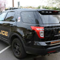 <p>The Bronxville Police Department.</p>