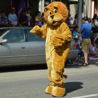 <p>The mascot of the Danbury High School&#x27;s Leo Club</p>