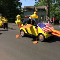 <p>Sunrise Rotary promoting Great Duck Race, to be held on Jesup Green on June 13</p>