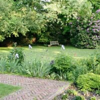 <p>The Womans Club of White Plains is presenting Jazz for the Gardens June 11.</p>
