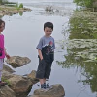 <p>Kids check out the wildlife along the water at Chamber Park.</p>