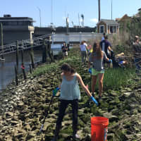 <p>New Canaan students collected trash on the rocks using sticks and grabbers.</p>