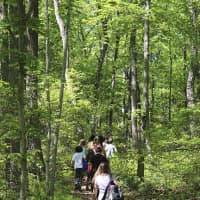 <p>Trekking to the stations at Taconic Outdoor Education Center.</p>