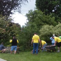 <p>The UTC volunteers are decked out in their yellow T-shirts from the United Way of Western Connecticut. </p>