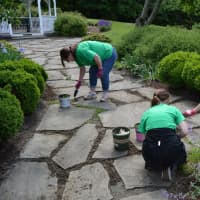 <p>Volunteer crews go to work near the gazebo on the ground of the Tarrywile Park &amp; Mansion in Danbury. </p>