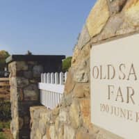 <p>Old Salem Farm also hosted the 2014 American Gold Cup.</p>