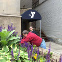 <p>Berkeley College volunteers working at the YMCA in White Plains.</p>