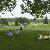 <p>Fans find plenty of places to lounge in the sun or in the shade at WCC.</p>