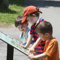 <p>Three boys check out the roadmap at the Stamford Museum &amp; Nature Center.</p>