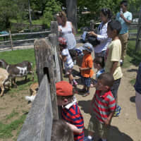 <p>A group waits to go inside the baby goat pen.</p>