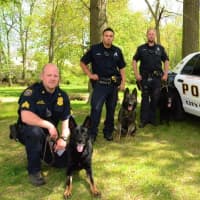 <p>Sergeant Garrett Kruger with Police Service Dog (PSD) Kimbo, Officer Richard Montanez and PSD Kai, and Officer David Peterson with PSD Rainor.</p>