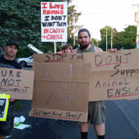 <p>Nicholas Fraco and Tim Harbolic protesting the Kelly Miller Circus in Verplanck.
</p>