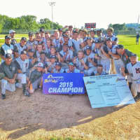 <p>The Tigers&#x27; varsity baseball team displays the championship banner and final brackets to its third state title in eight years.</p>