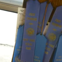<p>A few of the many blue ribbons Bruen has won with his products.</p>
