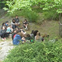 <p>Students attended the natures invaders station and engaged in a lesson on how invasive plants and pests can harm the environment and food chain.</p>