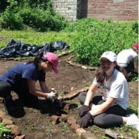 <p>Students at the Marymount School of New York are spending the week helping out at Battle Hill Asbhurton Gardens.</p>