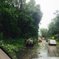 <p>Fallen trees and wires are creating hazards across Ridgefield on Tuesday afternoon following a storm. </p>