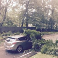 <p>Tree falls on a car on Main Street in Ridgefield near Route 116. </p>