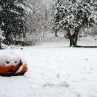 <p>A snowstorm that struck Croton and Cortlandt Oct. 29, 2011 was bitterly remembered by Croton and Cortlandt officials. </p>