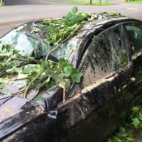 <p>This car in Ridgefield was smashed by a tree during the storm on Grove Street. The driver was inside the car and suffered a few broke bones. </p>