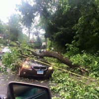 <p>The tree smashed right into the hood and windshield of the car during Tuesday&#x27;s storm in Ridgefield. </p>