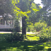 <p>A large tree in the front yard of the Lansbury House on Main Street in Ridgefield is a casualty of the storm. </p>